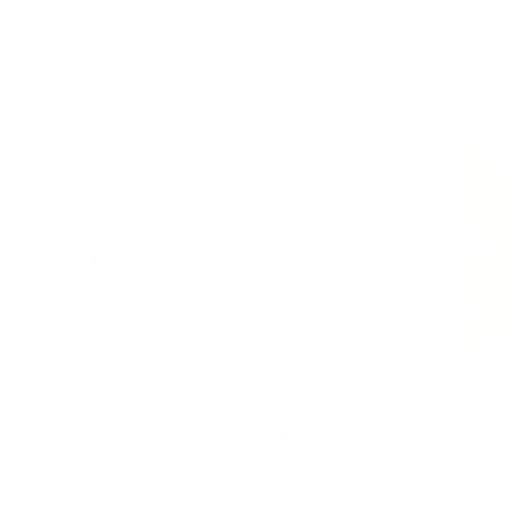 white faded circle